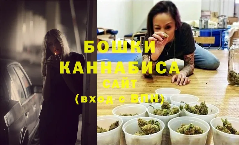 Бошки Шишки White Widow  где найти   Киреевск 